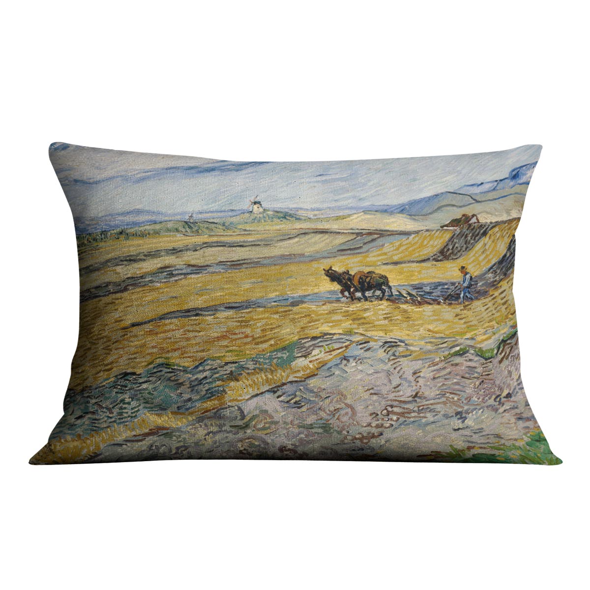Enclosed Field with Ploughman Cushion