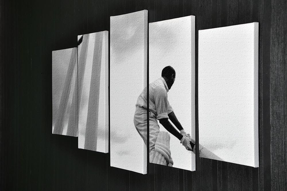 England cricketer Basil D Oliveira 5 Split Panel Canvas - Canvas Art Rocks - 2