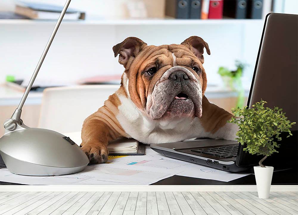 English Bulldog sitting at a desk Wall Mural Wallpaper - Canvas Art Rocks - 4