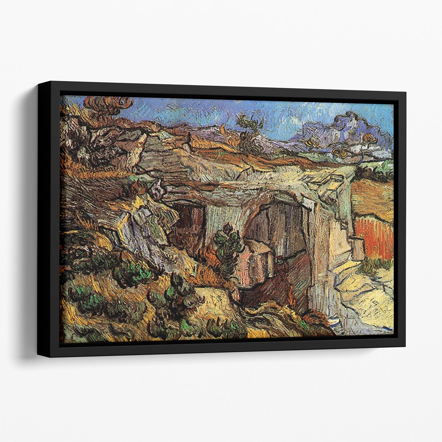 Entrance to a Quarry near Saint-Remy by Van Gogh Floating Framed Canvas