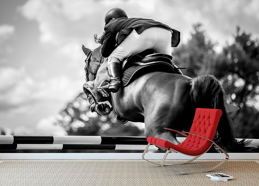Equestrian Sports Wall Mural Wallpaper - Canvas Art Rocks - 2