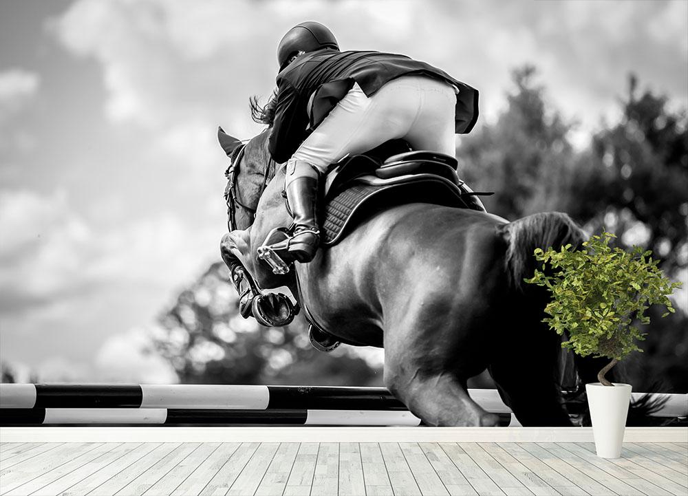 Equestrian Sports Wall Mural Wallpaper - Canvas Art Rocks - 4