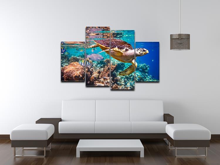 Eretmochelys imbricata 4 Split Panel Canvas  - Canvas Art Rocks - 3