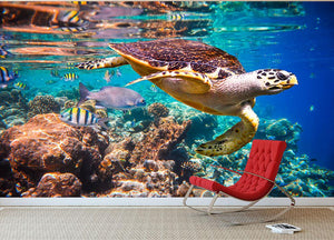 Eretmochelys imbricata Wall Mural Wallpaper - Canvas Art Rocks - 3