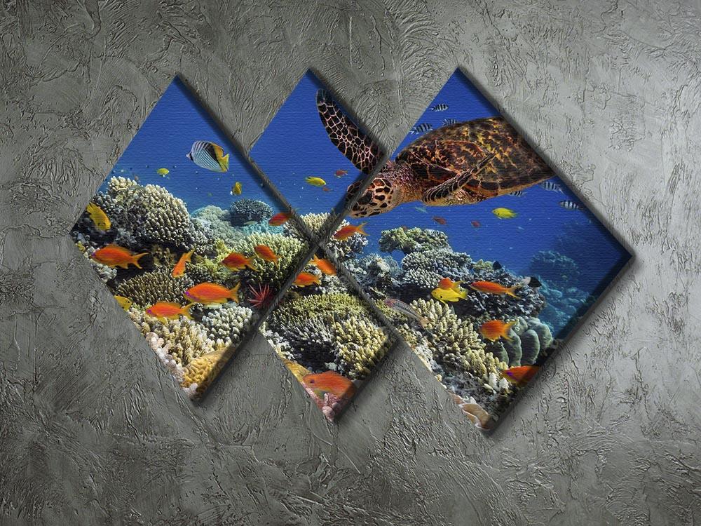 Eretmochelys imbricata floats under water 4 Square Multi Panel Canvas  - Canvas Art Rocks - 2