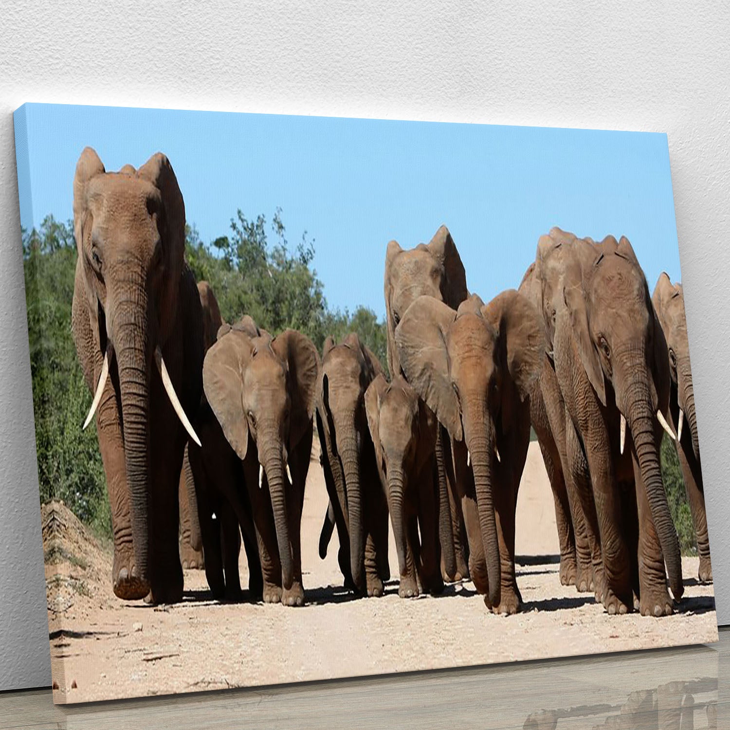 Family herd of African elephants on the move Canvas Print or Poster - Canvas Art Rocks - 1