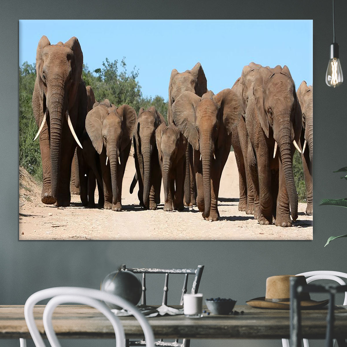 Family herd of African elephants on the move Canvas Print or Poster - Canvas Art Rocks - 3