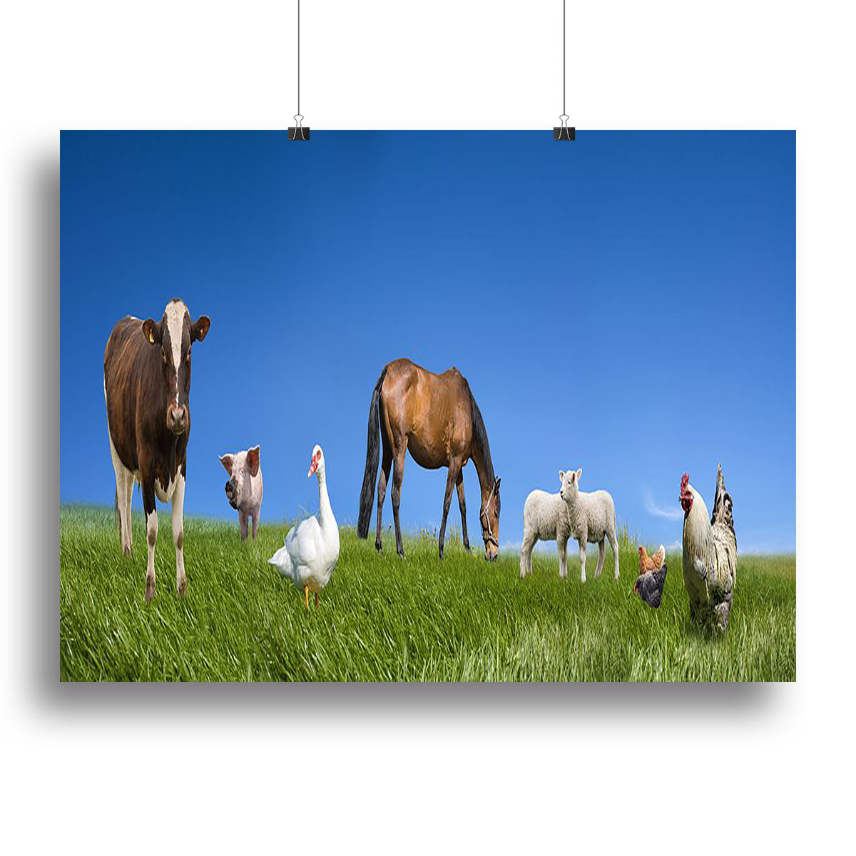 Farm animals collection Canvas Print or Poster - Canvas Art Rocks - 2