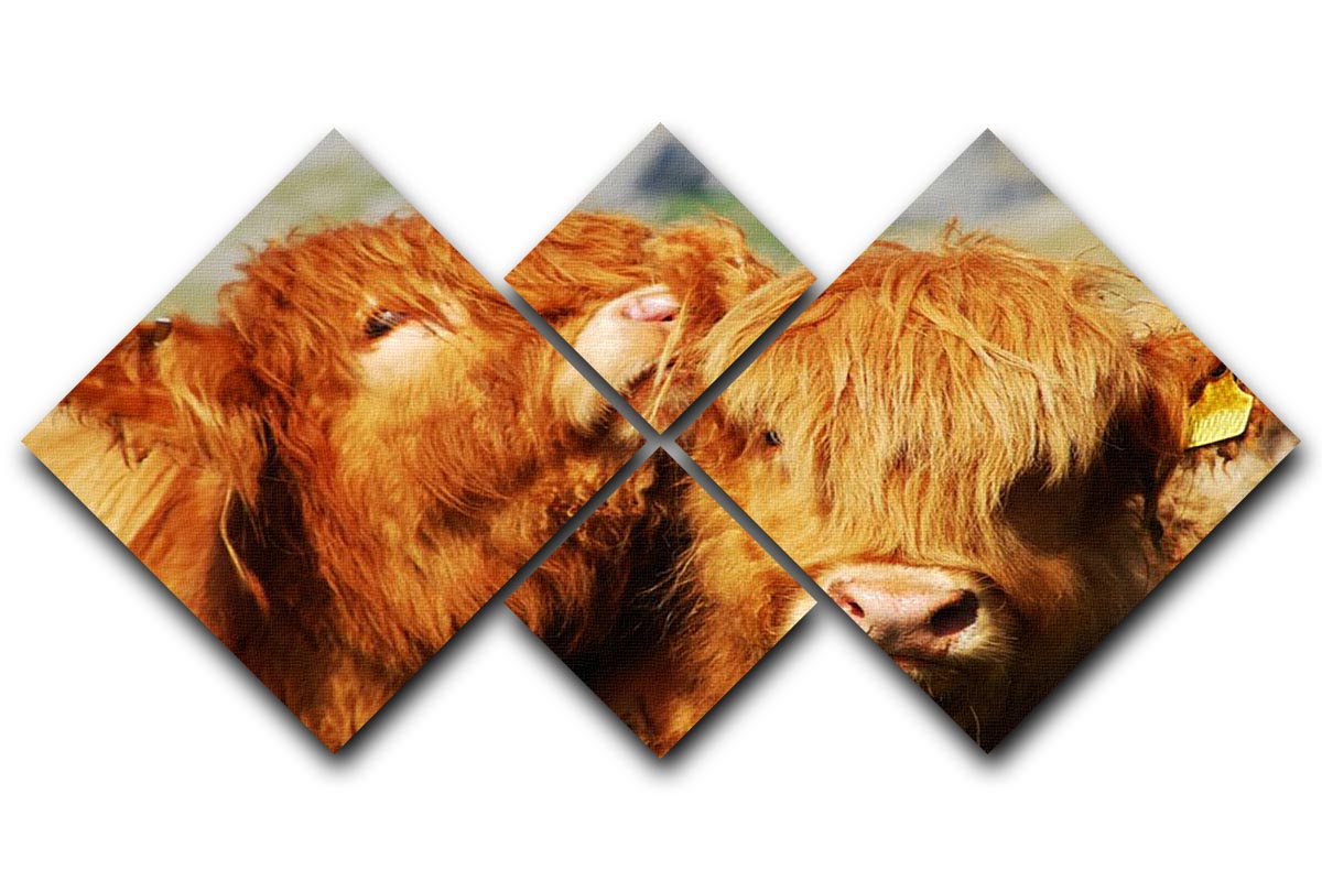 Farm cows 4 Square Multi Panel Canvas - Canvas Art Rocks - 1