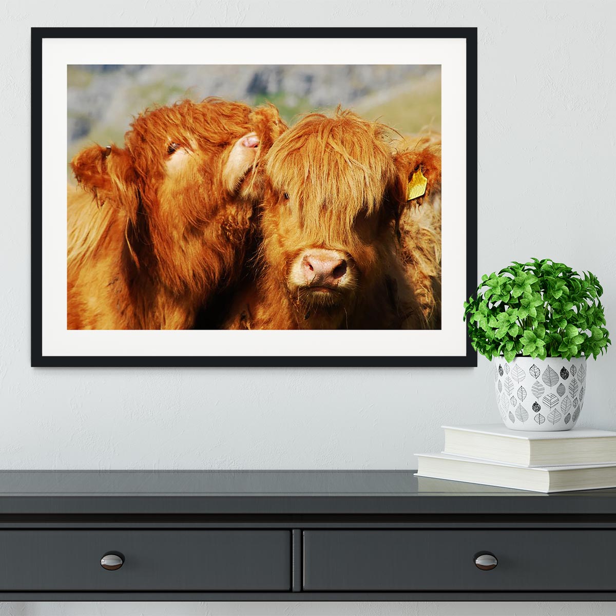 Farm cows Framed Print - Canvas Art Rocks - 1