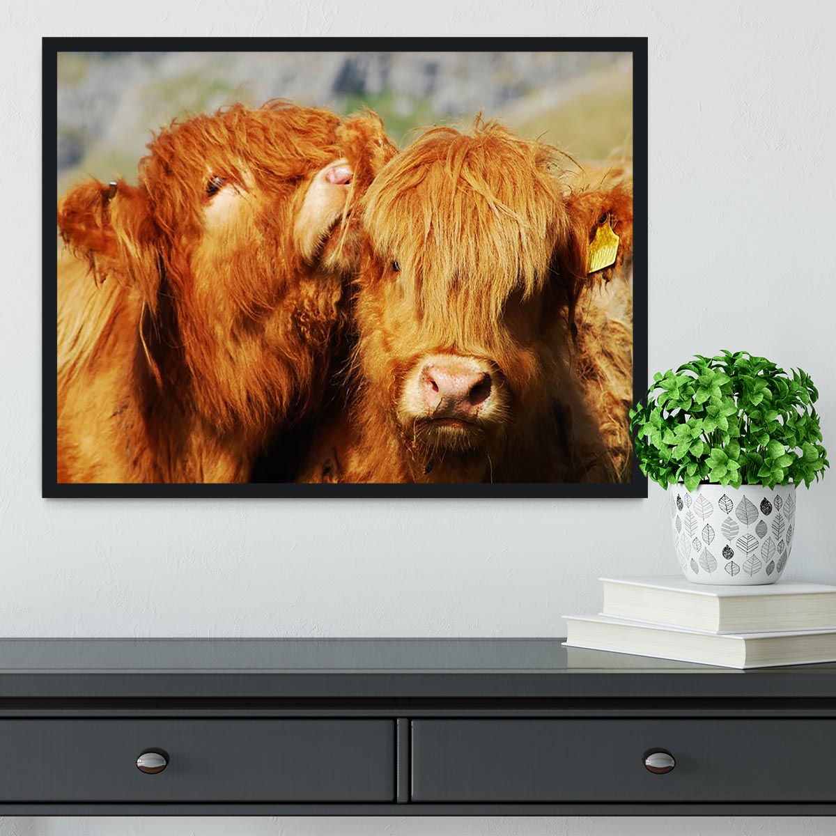 Farm cows Framed Print - Canvas Art Rocks - 2