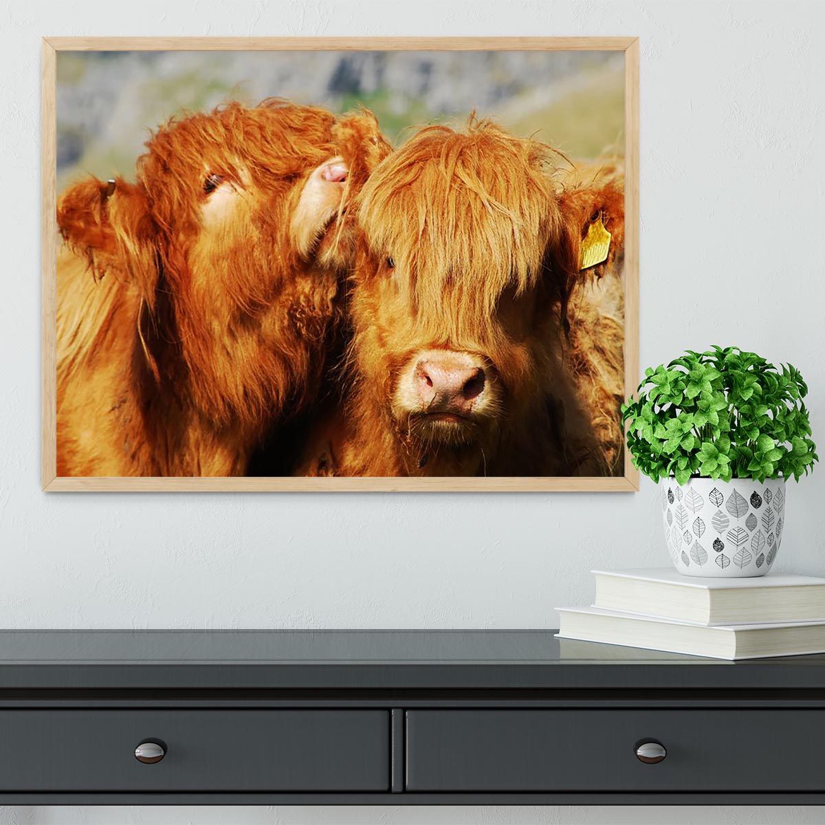 Farm cows Framed Print - Canvas Art Rocks - 4