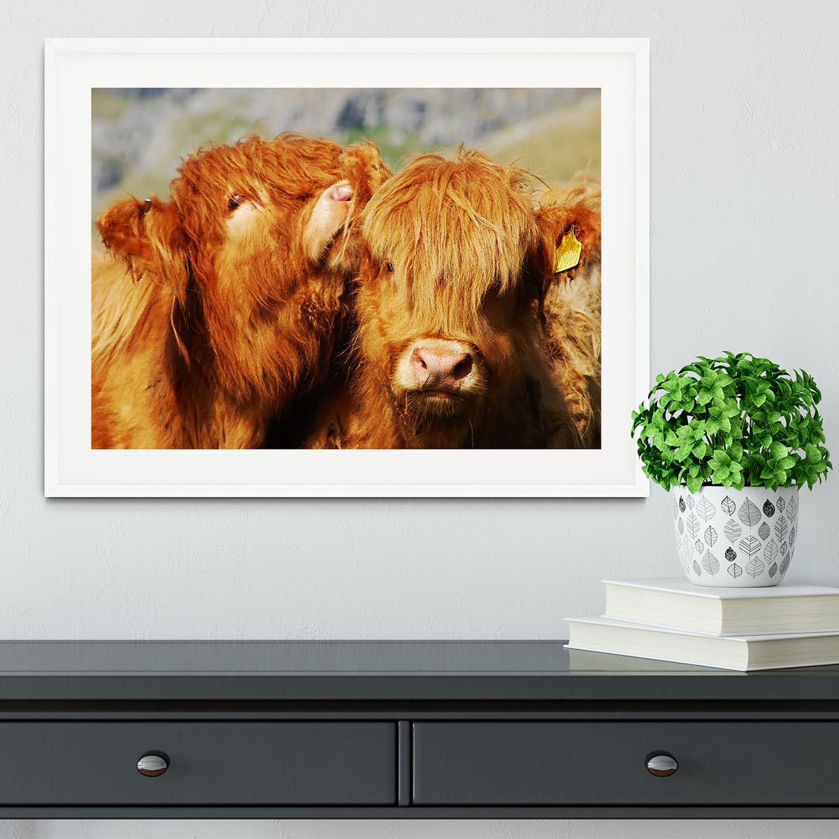 Farm cows Framed Print - Canvas Art Rocks - 5