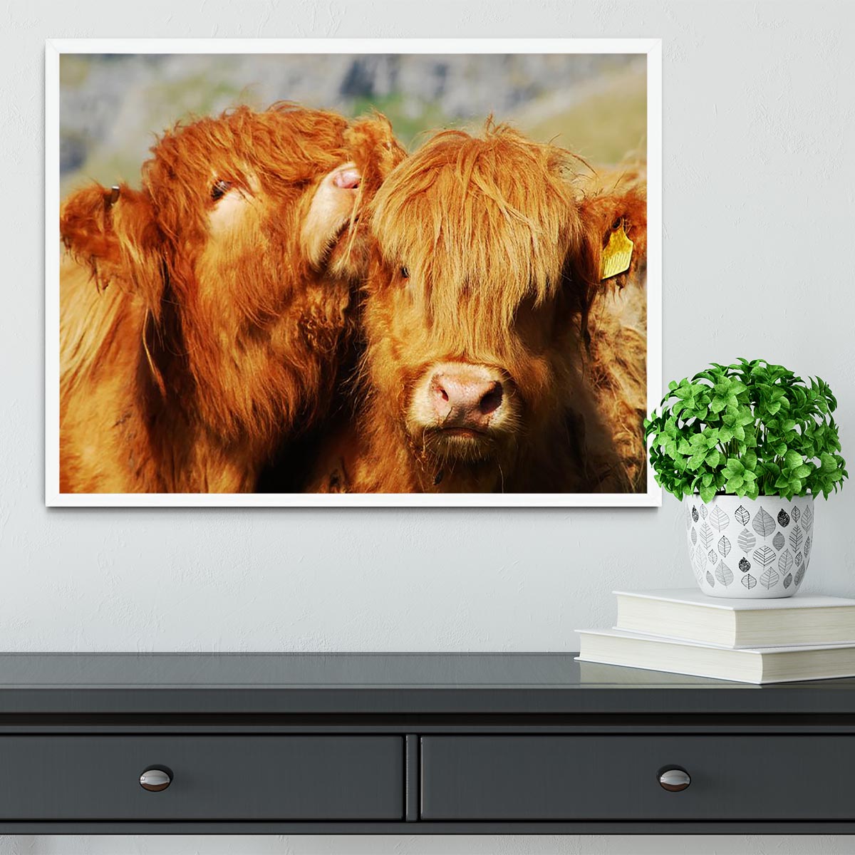 Farm cows Framed Print - Canvas Art Rocks -6