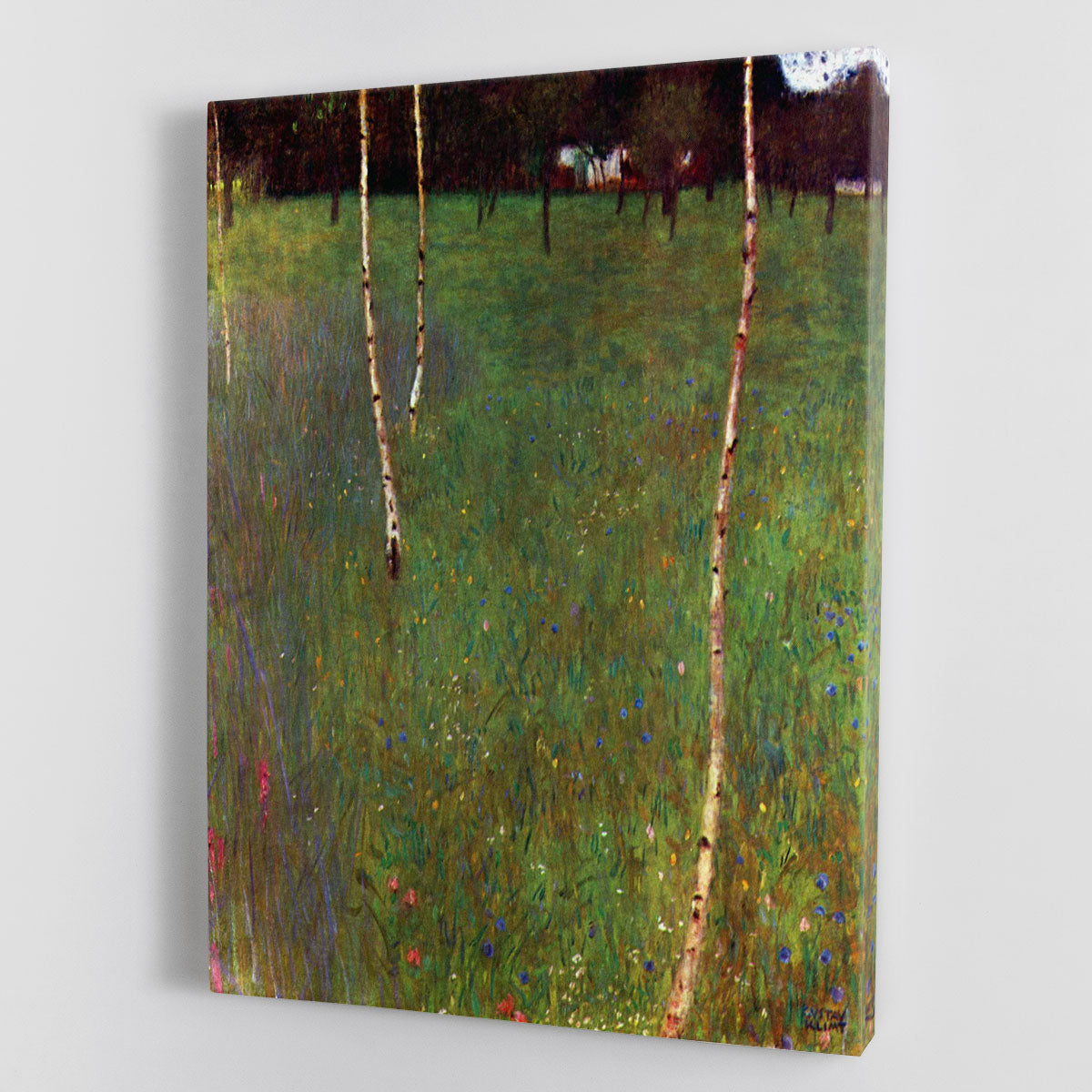 Farmhouse_lg by Klimt Canvas Print or Poster - Canvas Art Rocks - 1