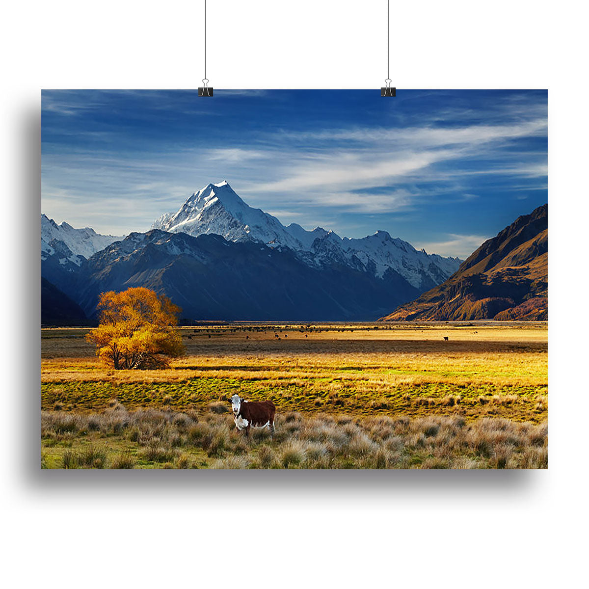 Farmland with grazing cows and Mount Cook Canvas Print or Poster - Canvas Art Rocks - 2