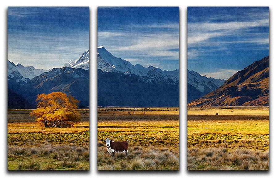 Farmland with grazing cows and Mount Cook on background 3 Split Panel Canvas Print - Canvas Art Rocks - 1