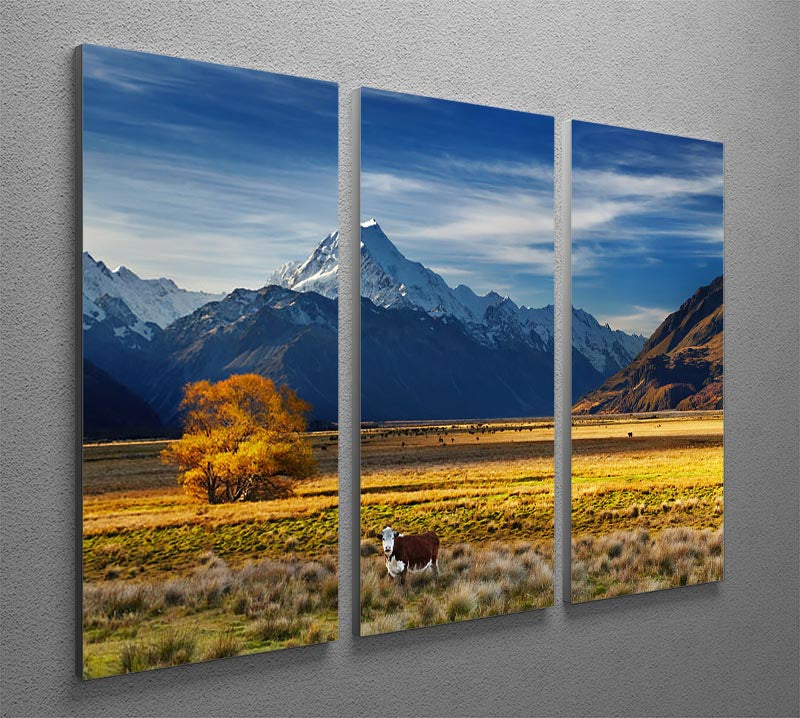 Farmland with grazing cows and Mount Cook on background 3 Split Panel Canvas Print - Canvas Art Rocks - 2