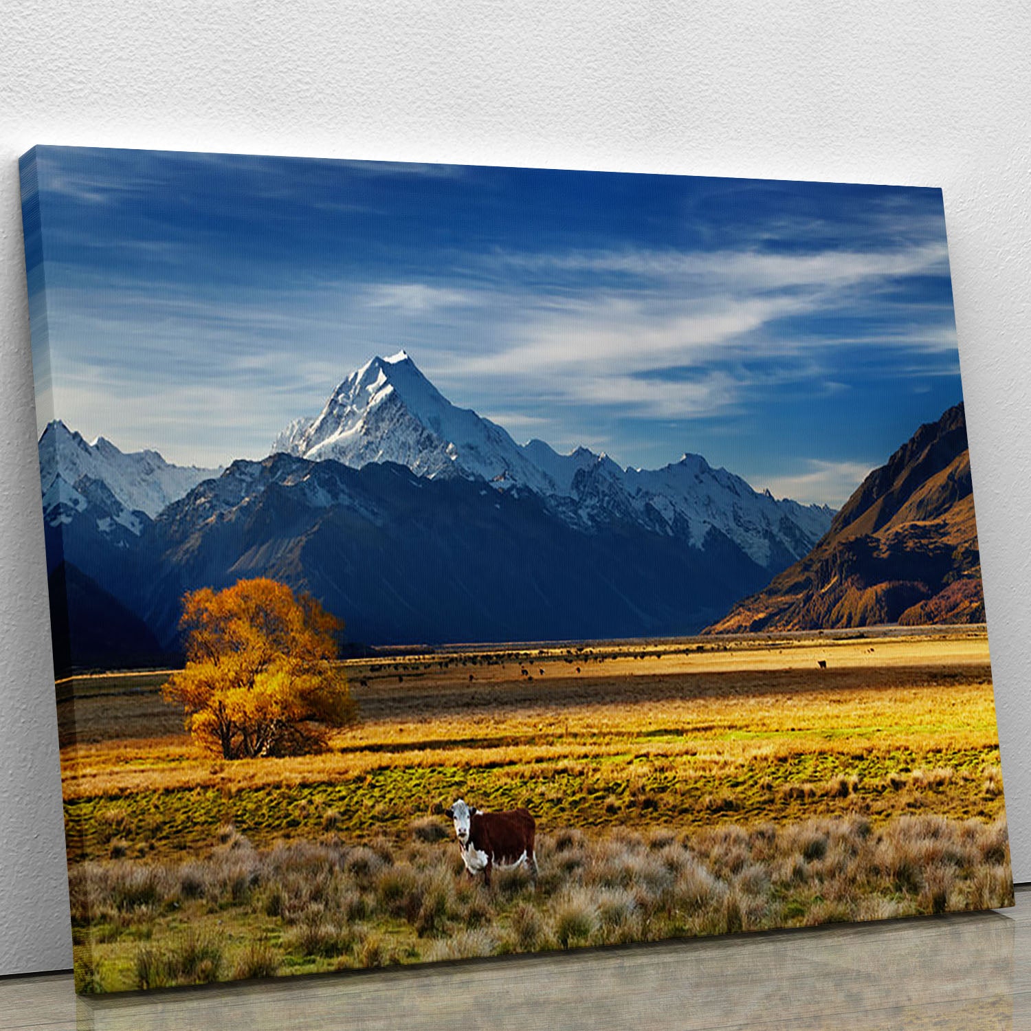 Farmland with grazing cows and Mount Cook on background Canvas Print or Poster - Canvas Art Rocks - 1