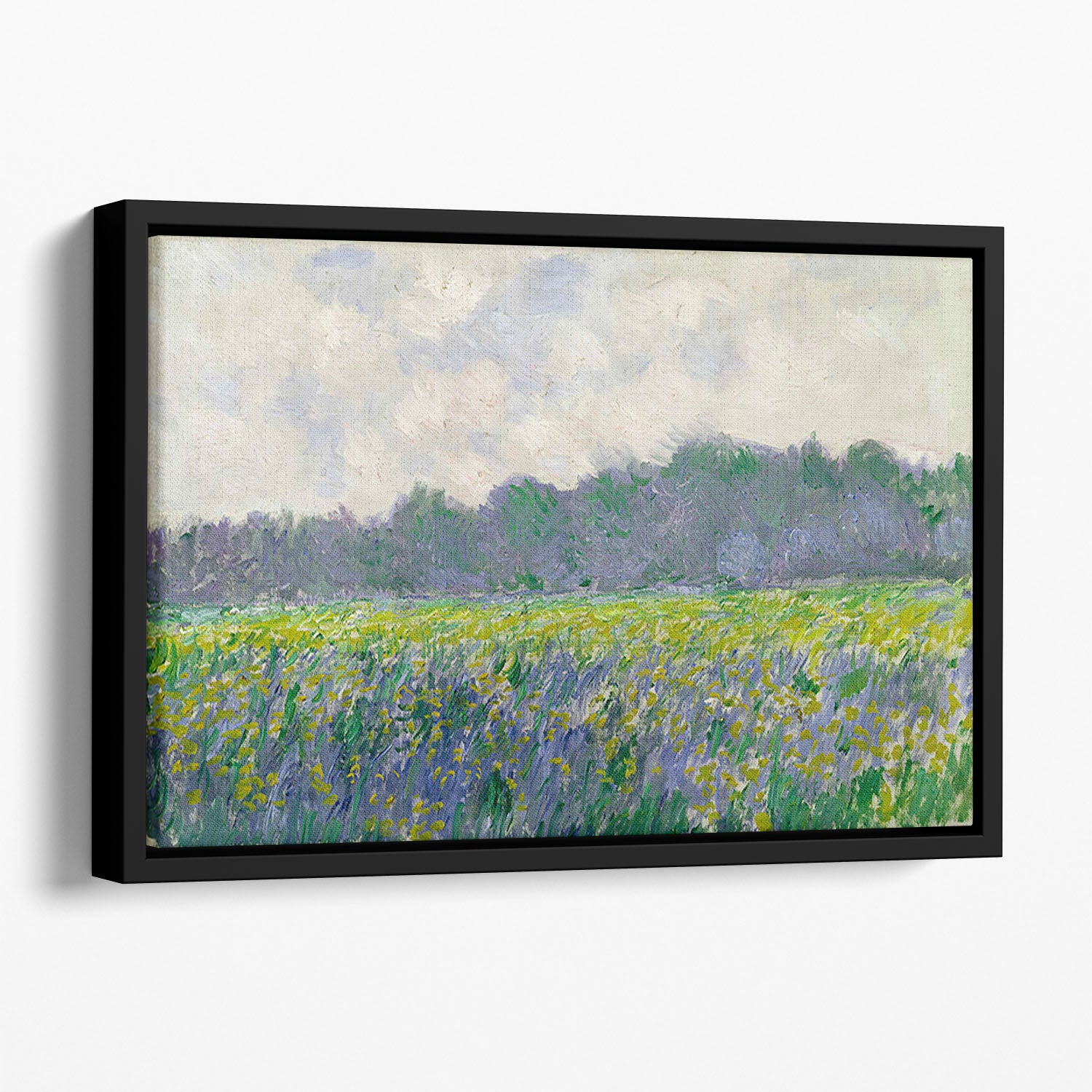 Field of Yellow Irises by Monet Floating Framed Canvas