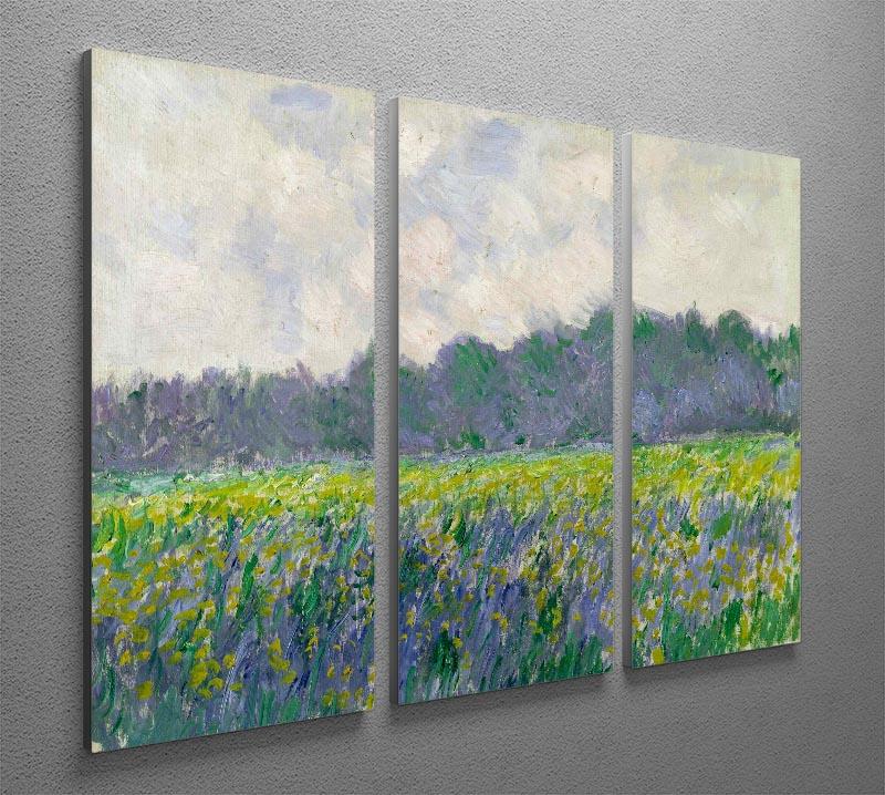 Field of Yellow Irises by Monet Split Panel Canvas Print - Canvas Art Rocks - 4