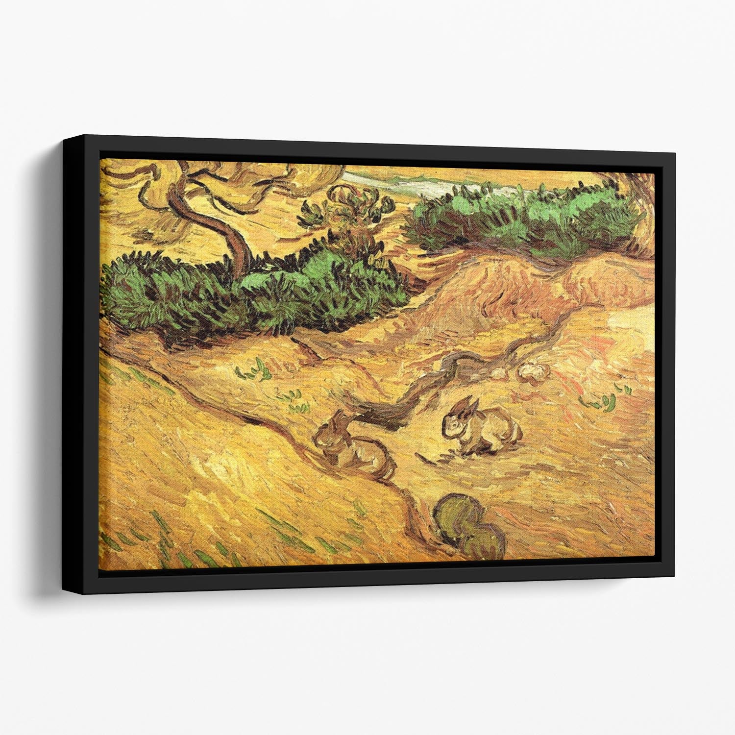 Field with Two Rabbits by Van Gogh Floating Framed Canvas