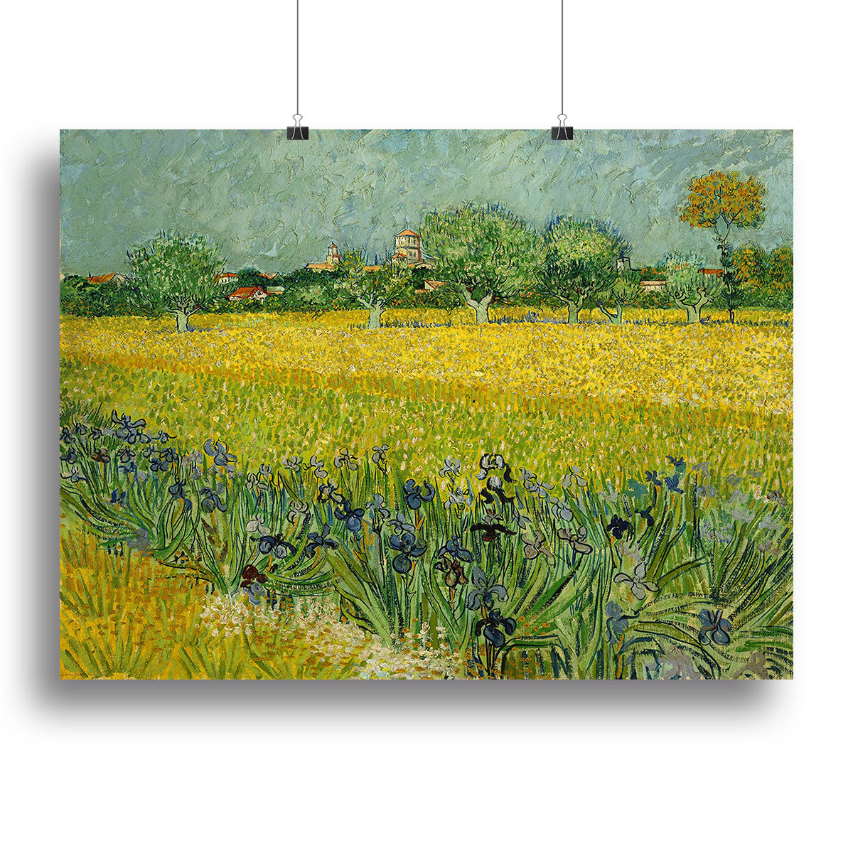 Field with flowers near Arles Canvas Print or Poster - Canvas Art Rocks - 2