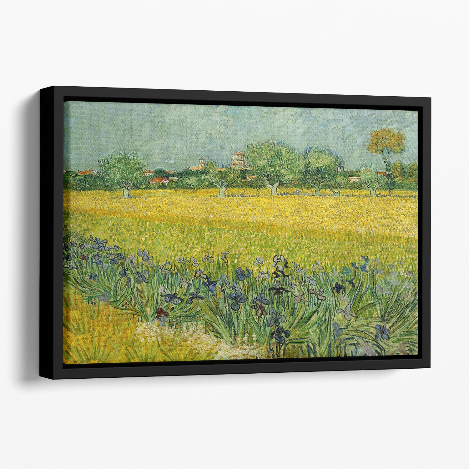 Field with flowers near Arles Floating Framed Canvas