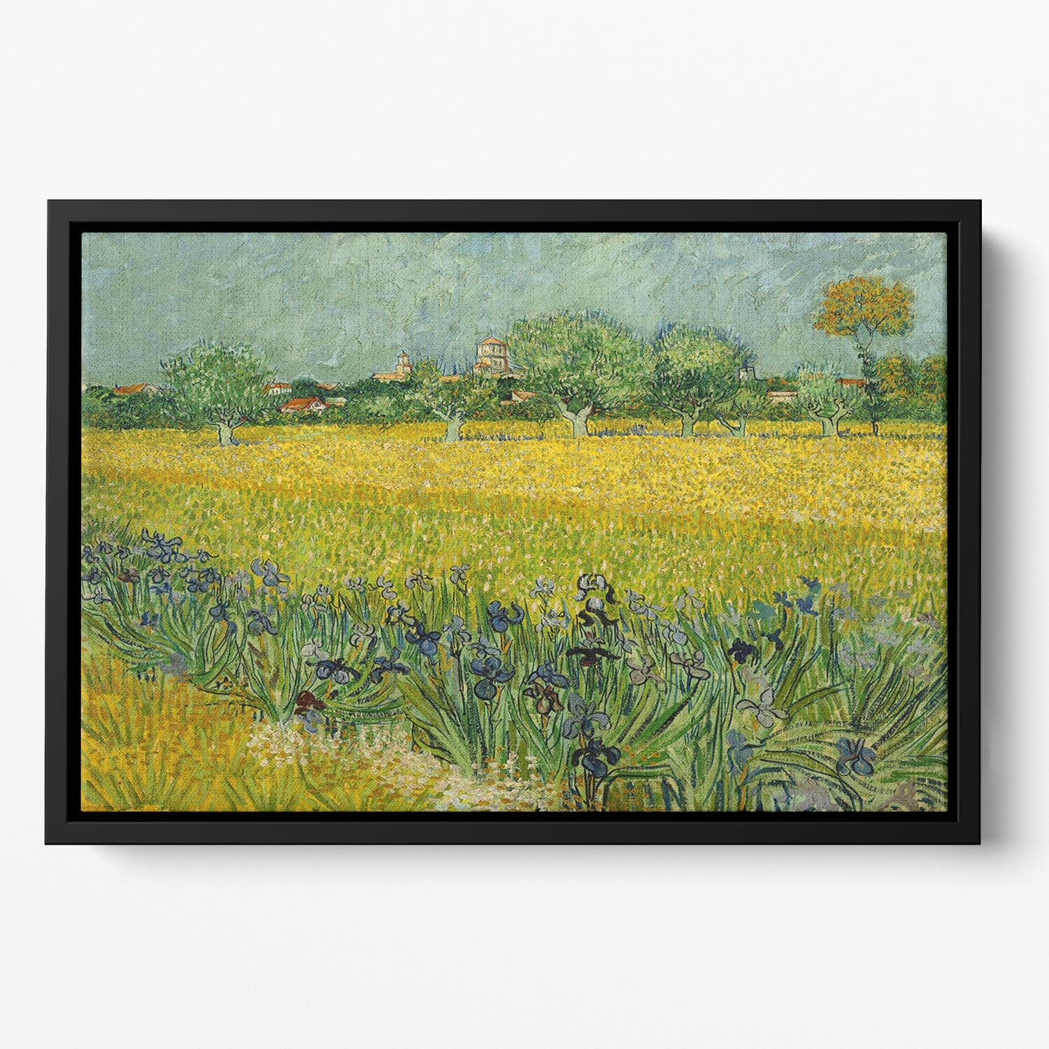 Field with flowers near Arles Floating Framed Canvas