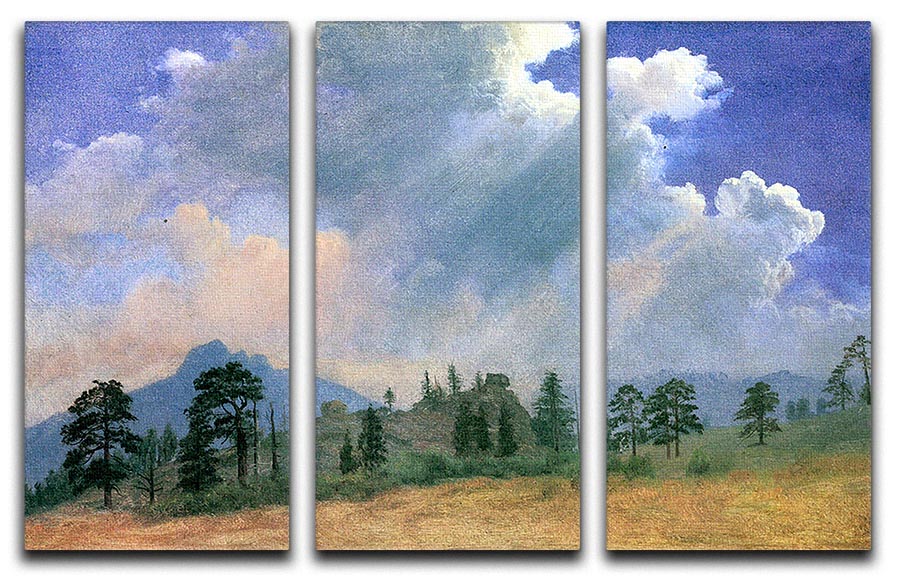 Fir trees and storm clouds by Bierstadt 3 Split Panel Canvas Print - Canvas Art Rocks - 1