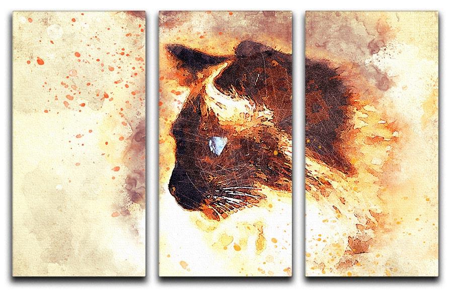 Fire Cat Painting 3 Split Panel Canvas Print - Canvas Art Rocks - 1