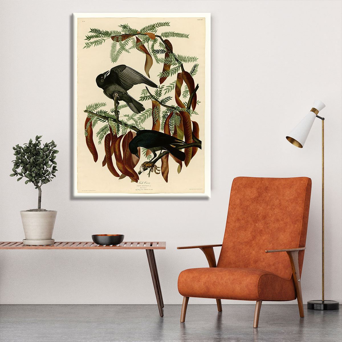 Fish Crow by Audubon Canvas Print or Poster - Canvas Art Rocks - 6
