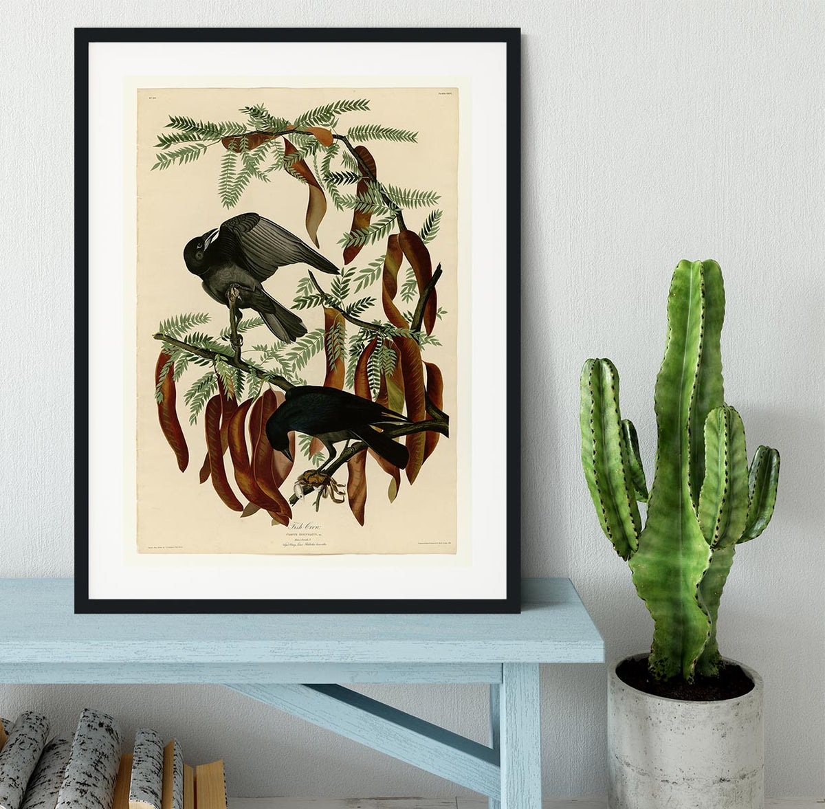 Fish Crow by Audubon Framed Print or Poster | Canvas Art Rocks