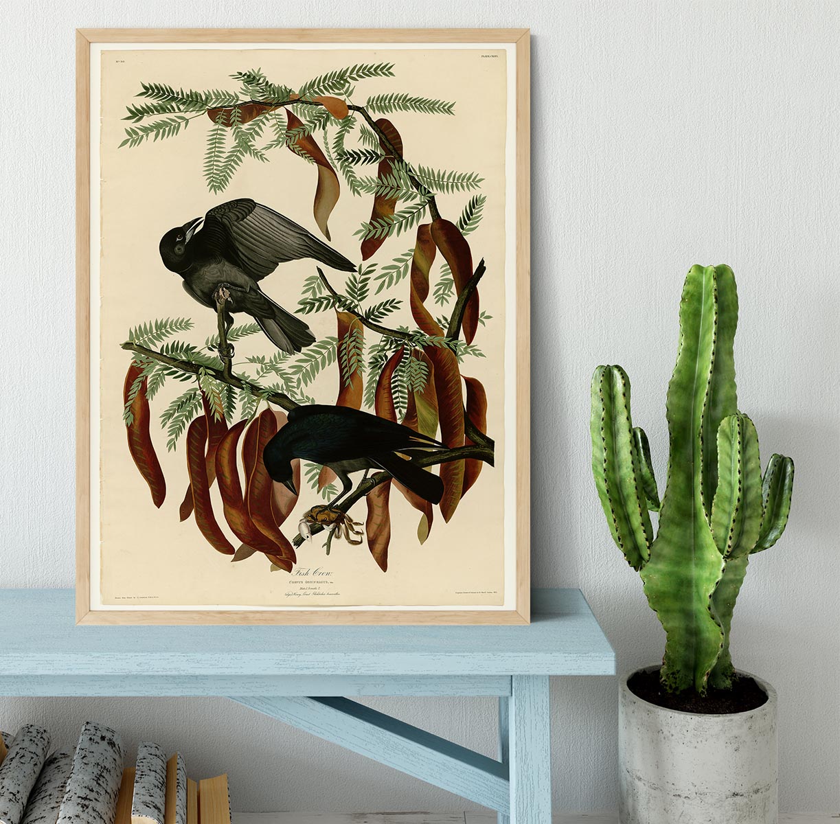 Fish Crow by Audubon Framed Print - Canvas Art Rocks - 4