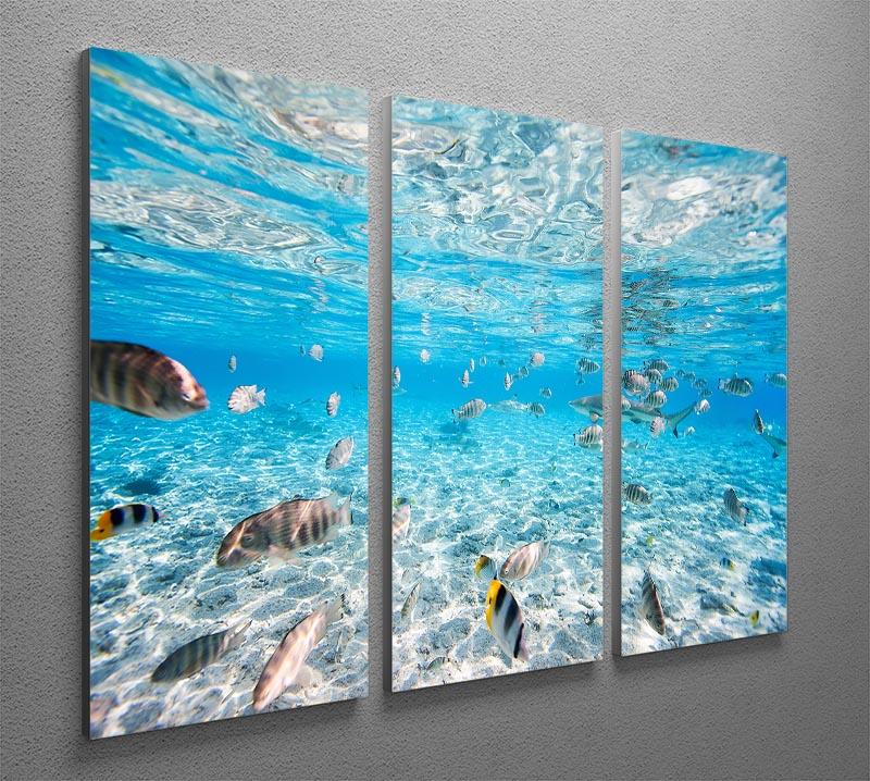 Fish and black tipped sharks 3 Split Panel Canvas Print - Canvas Art Rocks - 2