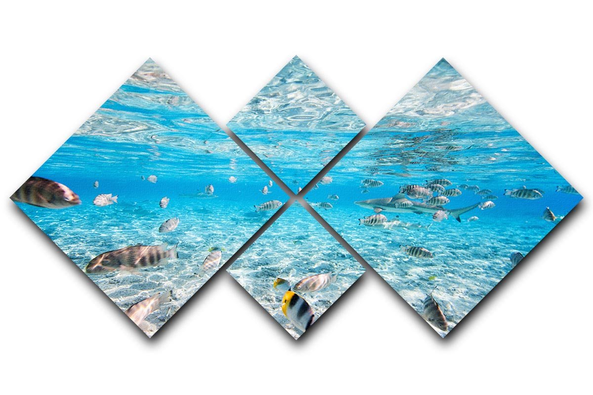 Fish and black tipped sharks 4 Square Multi Panel Canvas  - Canvas Art Rocks - 1