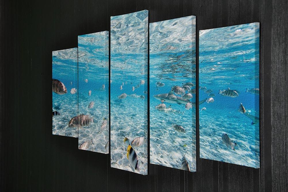 Fish and black tipped sharks 5 Split Panel Canvas  - Canvas Art Rocks - 2