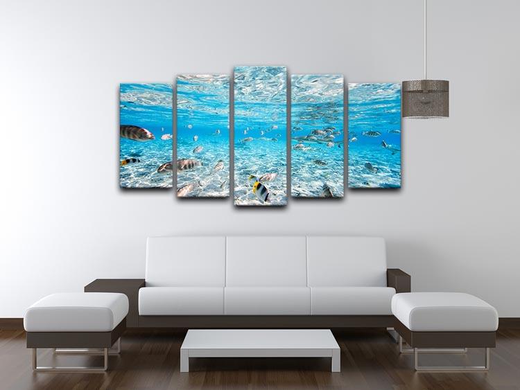 Fish and black tipped sharks 5 Split Panel Canvas  - Canvas Art Rocks - 3