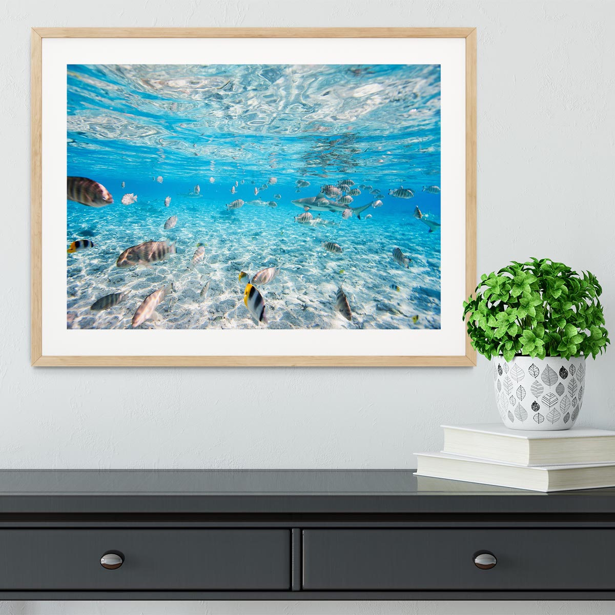 Fish and black tipped sharks Framed Print - Canvas Art Rocks - 3