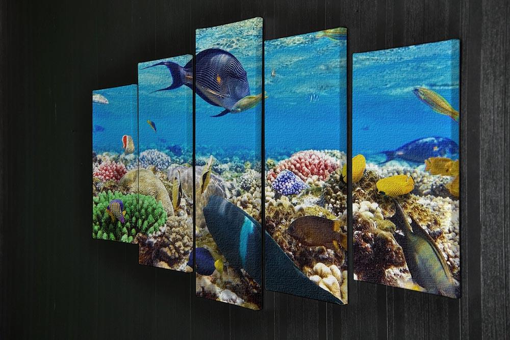 Fish in the Red Sea 5 Split Panel Canvas  - Canvas Art Rocks - 2