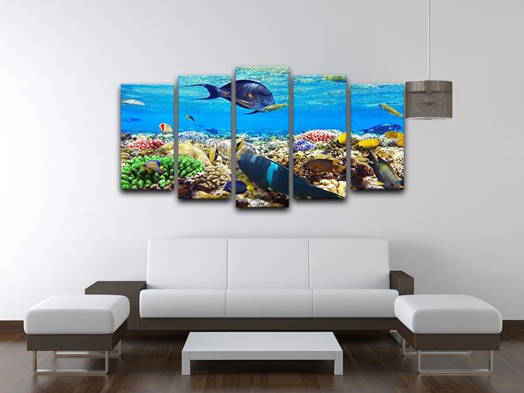 Fish in the Red Sea 5 Split Panel Canvas  - Canvas Art Rocks - 3