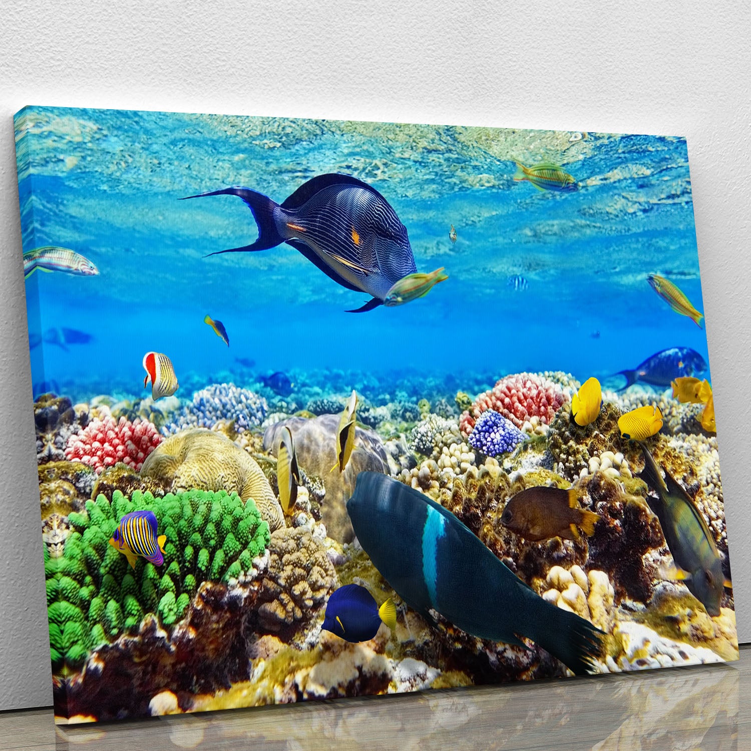 Fish in the Red Sea Canvas Print or Poster - Canvas Art Rocks - 1