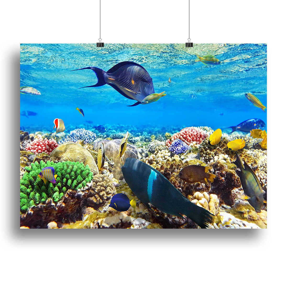 Fish in the Red Sea Canvas Print or Poster - Canvas Art Rocks - 2