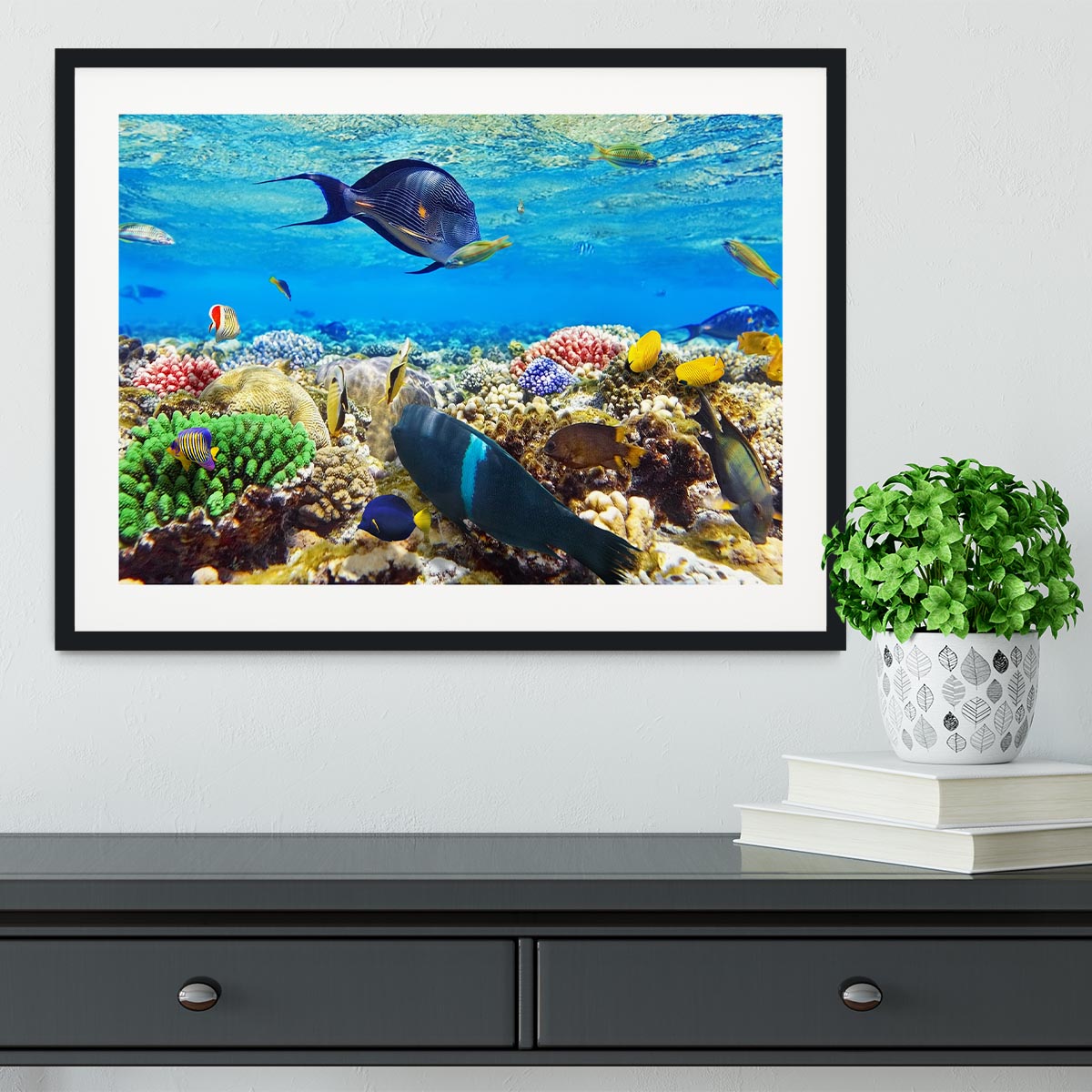 Fish in the Red Sea Framed Print - Canvas Art Rocks - 1