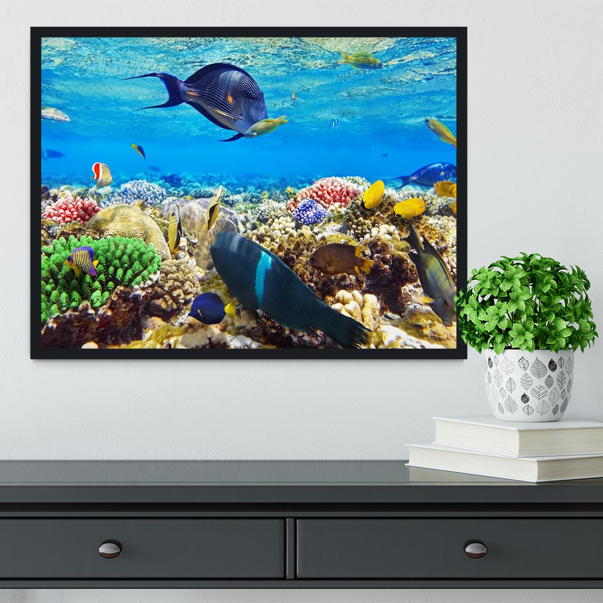 Fish in the Red Sea Framed Print - Canvas Art Rocks - 2
