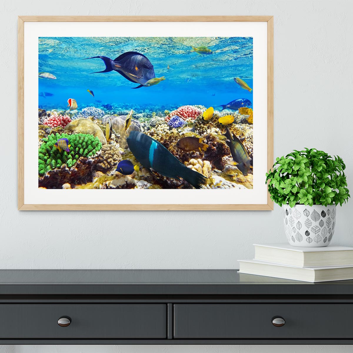 Fish in the Red Sea Framed Print - Canvas Art Rocks - 3