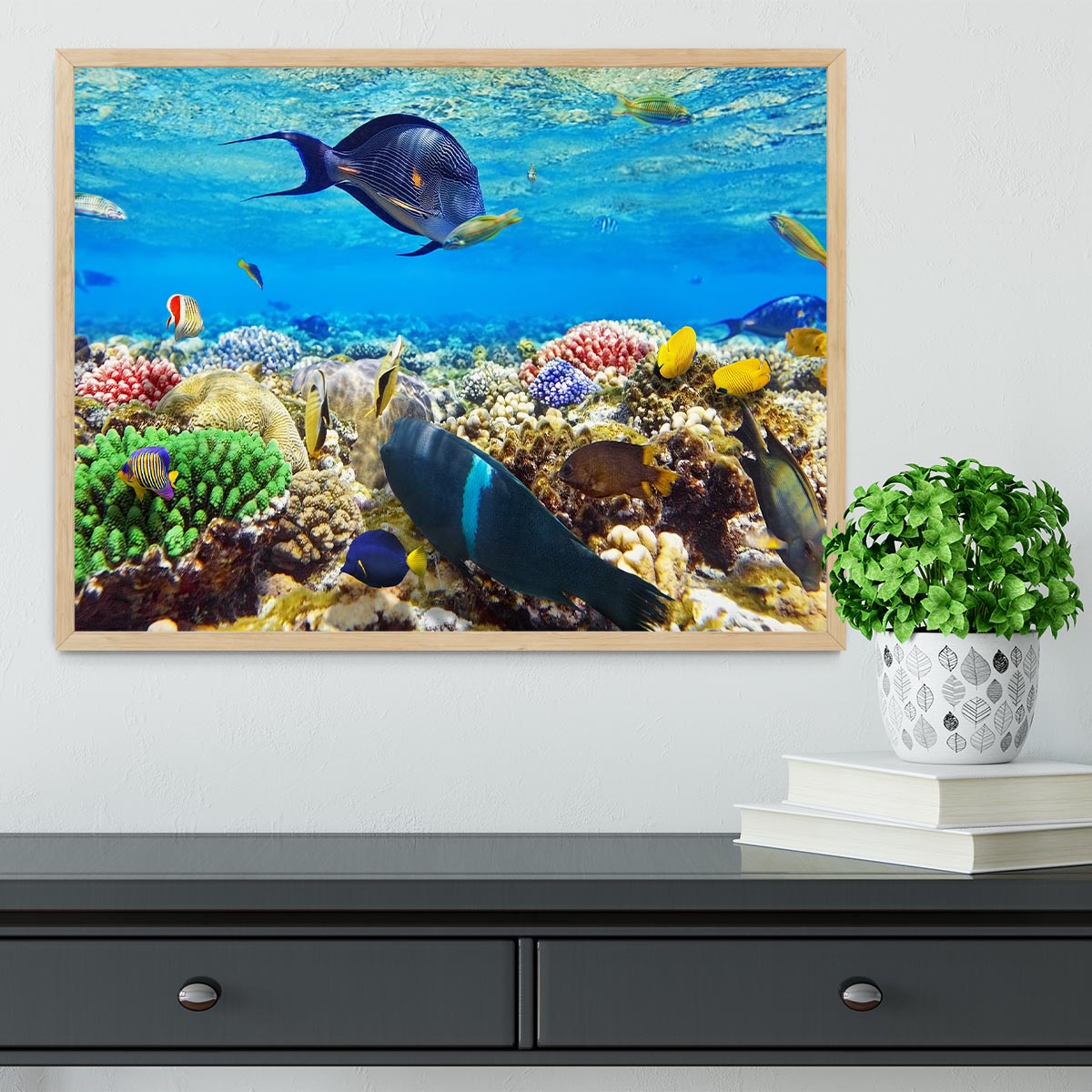 Fish in the Red Sea Framed Print - Canvas Art Rocks - 4