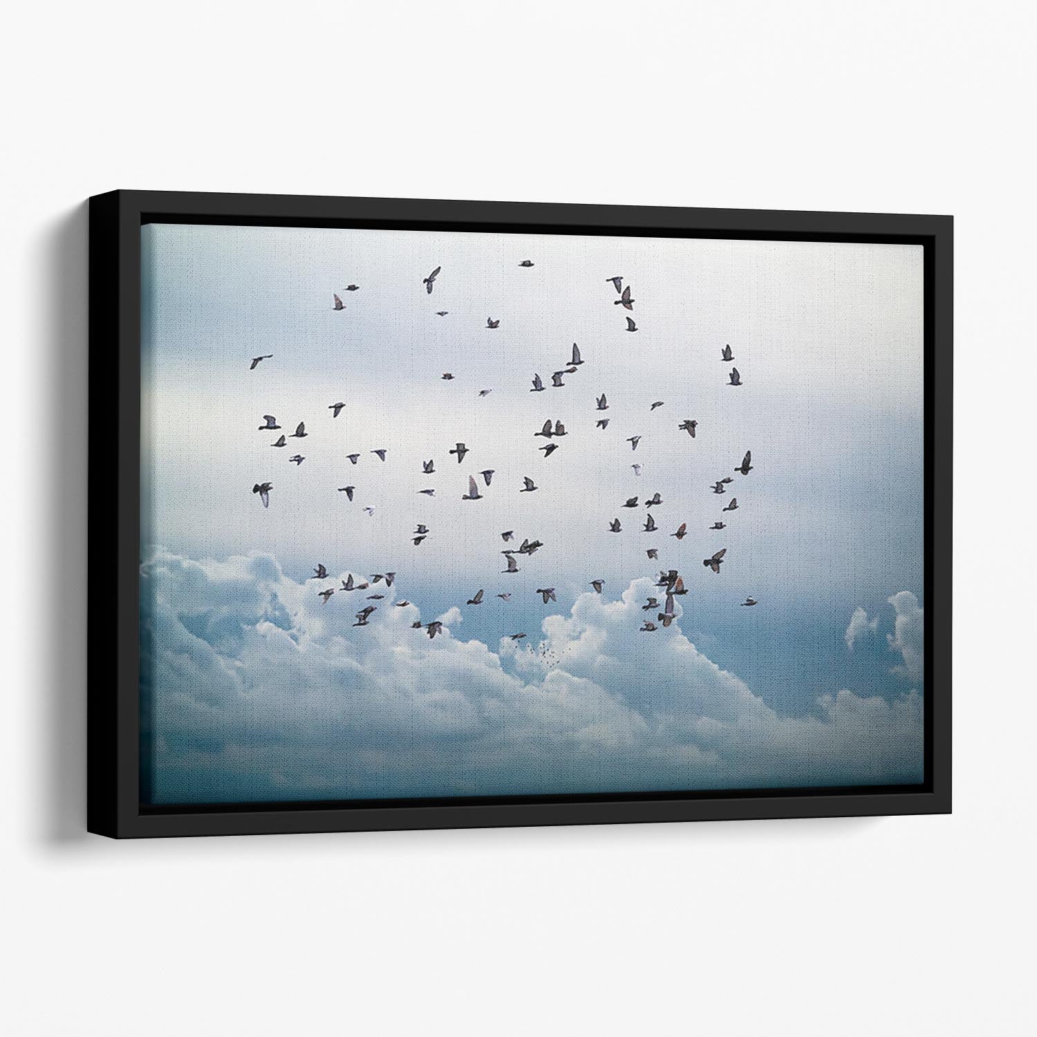 Flock of birds flying in the sky Floating Framed Canvas - Canvas Art Rocks - 1