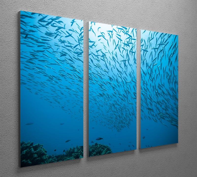 Flock of fish flowing 3 Split Panel Canvas Print - Canvas Art Rocks - 2