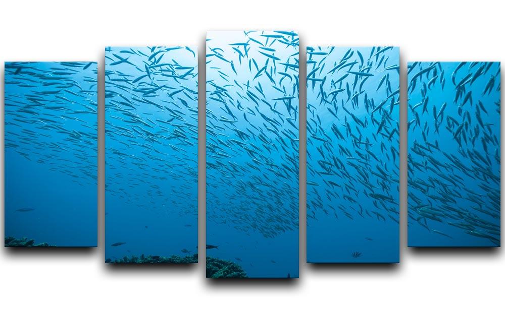 Flock of fish flowing 5 Split Panel Canvas  - Canvas Art Rocks - 1